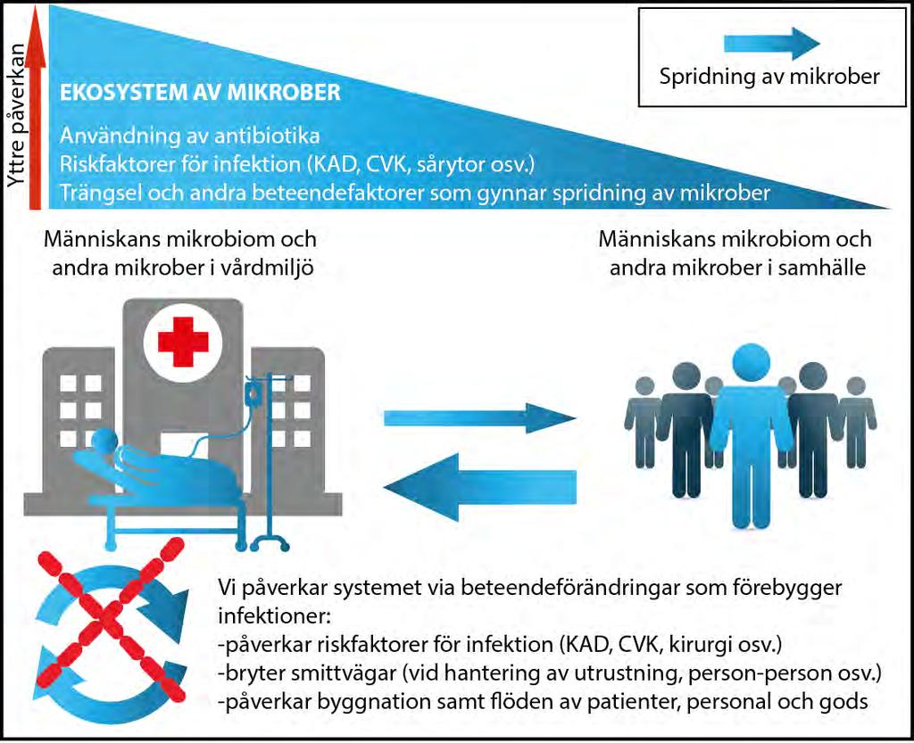 Antibiotikaresistens sjukvård och