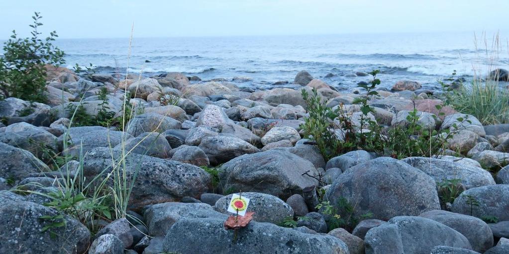 Arbetsgruppen Nätverkets arbetsgrupp önskar förstärkning! Det är viktigt med en geografisk spridning i arbetsgruppen.