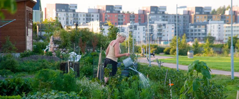 GEMENSAMMA UTVECKLINGSTEMAN Hållbar vardag i det stora metropolområdet 2040 Utvecklingstemat tar fasta på dimensioner, utmaningar och möjligheter som har att göra med hållbarhet, välfärd, miljö,