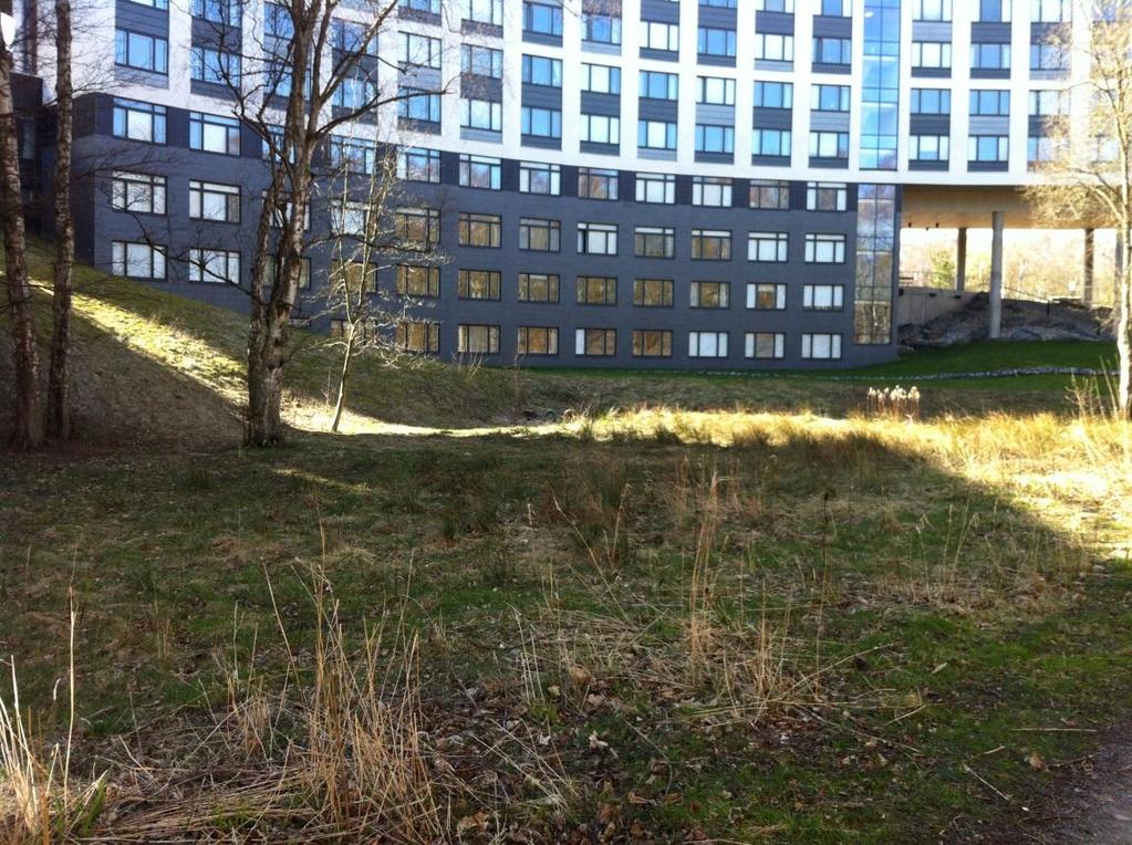 Bild 9 Exempel på öppen dikessektion Inom fastigheten kan ett mindre dike intill GC-vägen vara en möjlighet att styra men ändå behålla dagvattnet på ytan så länge som möjligt även i lågområdet.