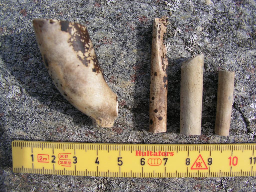 Statens maritima museer Fig. 6a. Lämning nr 7.