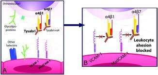 Natalizumab binder