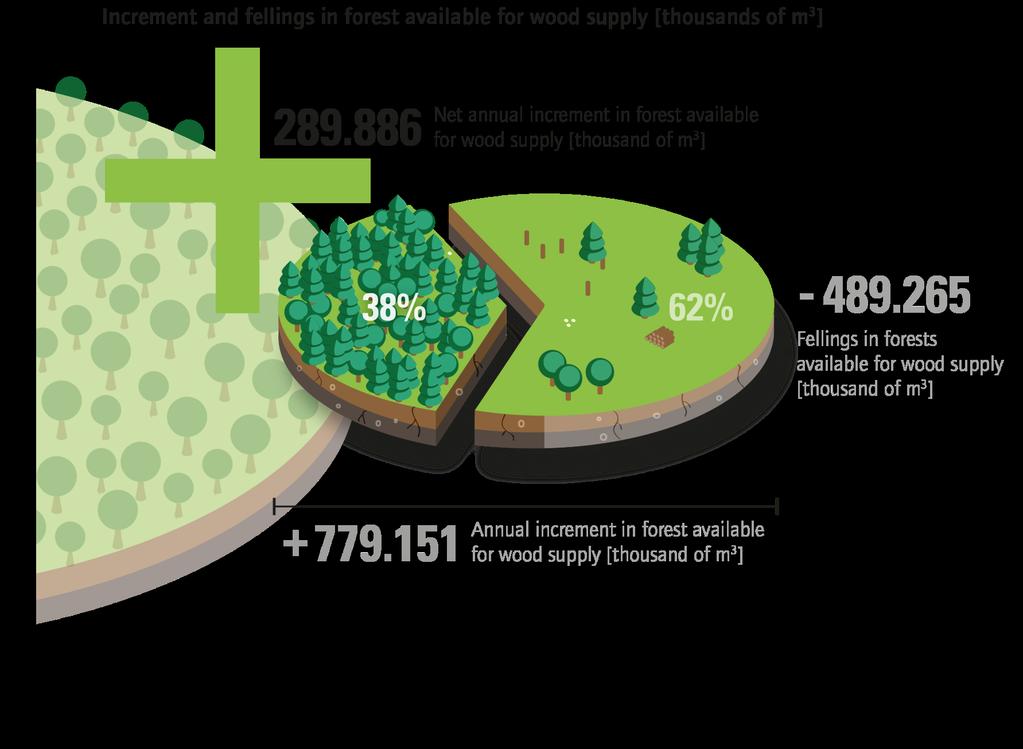 Bioenergy Key Facts Annual forest growth and