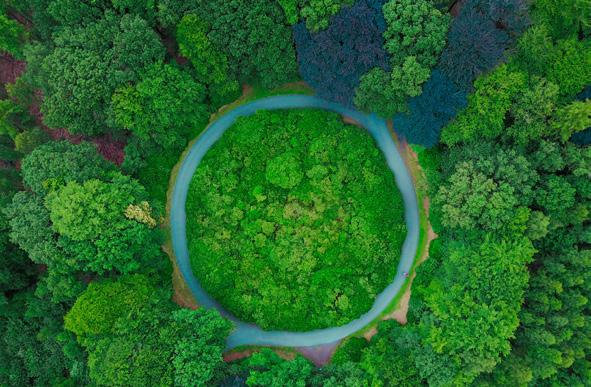 GOD TILLVÄXT I EUROOMRÅDET Tillväxten i den globala ekonomin är intakt, även om det var en tillfällig svaghet i början av året. Sencykliska drivkrafter som t.ex.