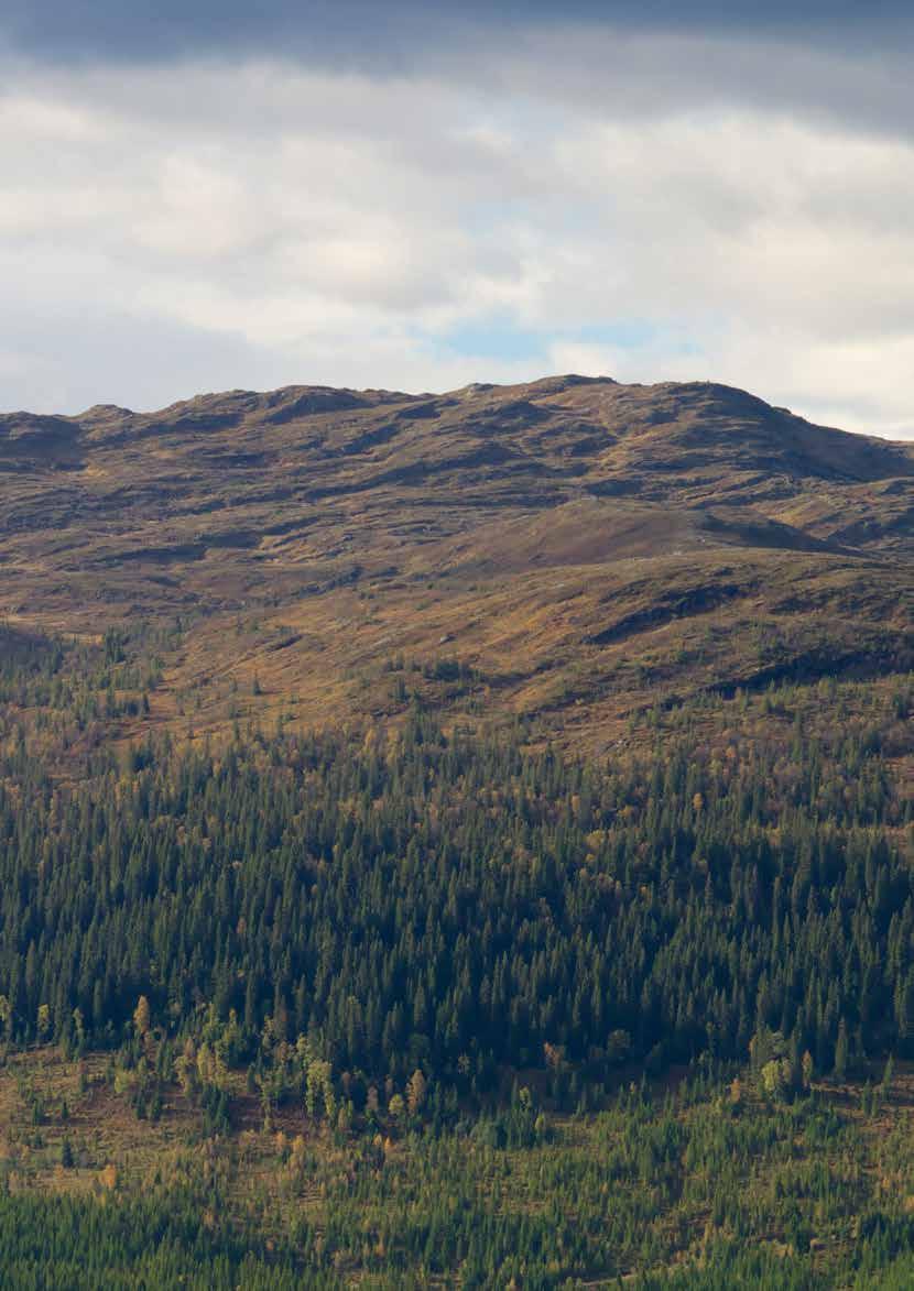 Förflyttningen av vegetationszoner norrut på grund av det varmare