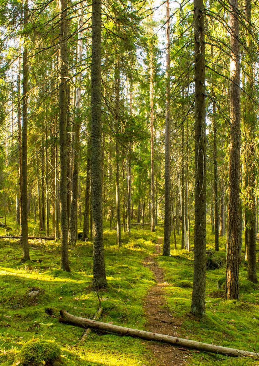 Växtlighet av olika slag och vattenområden kan bidra till att minska