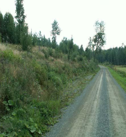 0 200 400 meter ÊÚ Fyndlokaler Lämpligt habitat Anslutande habitat ÊÚ Karta 3. Utbredning av lämpligt sandödlehabitat vid lokal 25B. Bild 4 (vänster). Gammalt sandtag söder om Järsnäs.