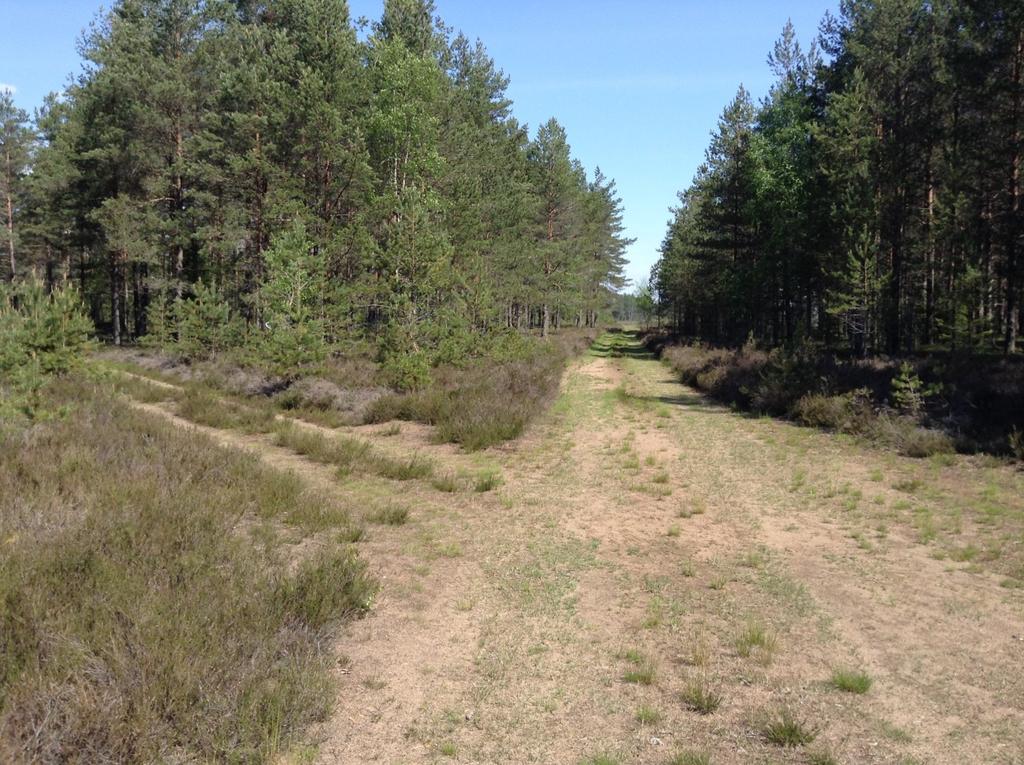 4.7.2 Skillingaryds skjutfält, lokal 6I Läge: Skillingaryds skjutfält, 400 m sydost om Fågelforsdammens dammvall, rakt väster om Lilla Spänneberget.