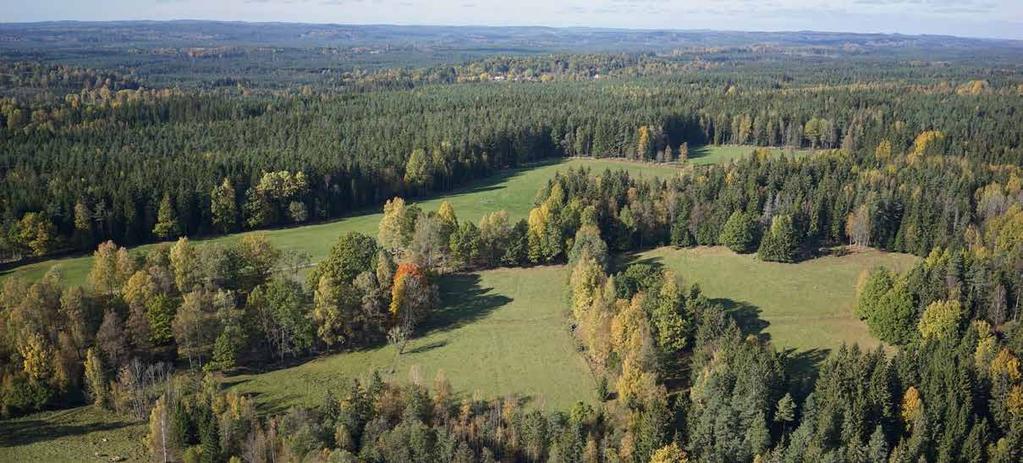 Åtgärdsvalsstudie Höghastighetsjärnväg