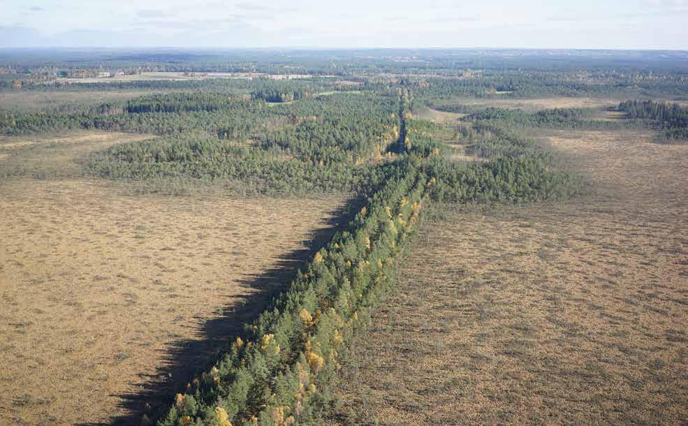 Väster om Värnamo ligger Store Mosse nationalpark, en av södra Sveriges största myrmark.