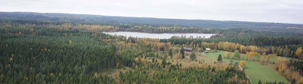 väldränerade sandurfält. Mellan sandurfälten finns stora områden med torv och kärrtorv i myrmarker. De mindre torvmarkerna är troligen dödisgropar d.v.s. sänkor som bildats när is från inlandsisen legat kvar och sedan smält bort.