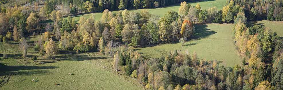 Klevshults böljande odlings- och skogslandskap (7b) Området söder om Skogshyltasjön förekommer ett mindre område med naturbetesmarker både Natura 2000-klassade ytor och riksintresse för naturvård