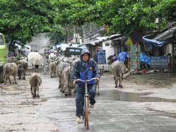Besök norr om Moung Ley, Vietnam ( Anders Ridzéns resa ) Efter att vi hade besökt Dien