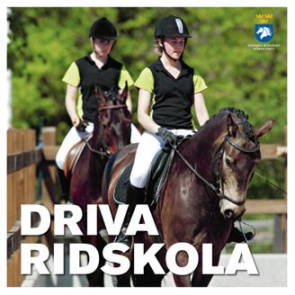 GÖR EN BUDGET KOPPLAT TILL ER HANDLINGSPLAN FAKTA INTÄKTER OCH KOSTNADER Budgeten ska vara en realistisk ekonomisk bedömning och verka stödjande för de mål som satts upp för det kommande året.