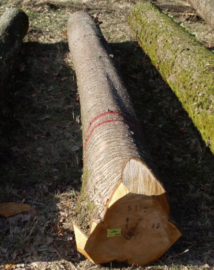 anses att trädet är en Totastbehalter (Burschel & Huss 1997) dvs. att det har en dålig naturlig kvistrensning och behåller torrkvisten länge (Schütz 1990). Anon.