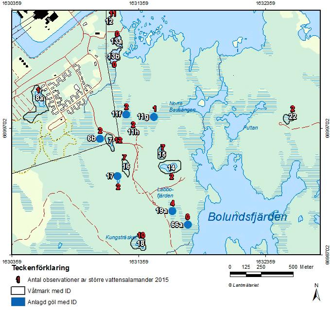 Figur 3 2. Kartan visar de gölar i Forsmark där större vattensalamander inventerats 2015. Blå punkter anger anlagda gölar. Vita siffror anger göl/våtmarksnummer.