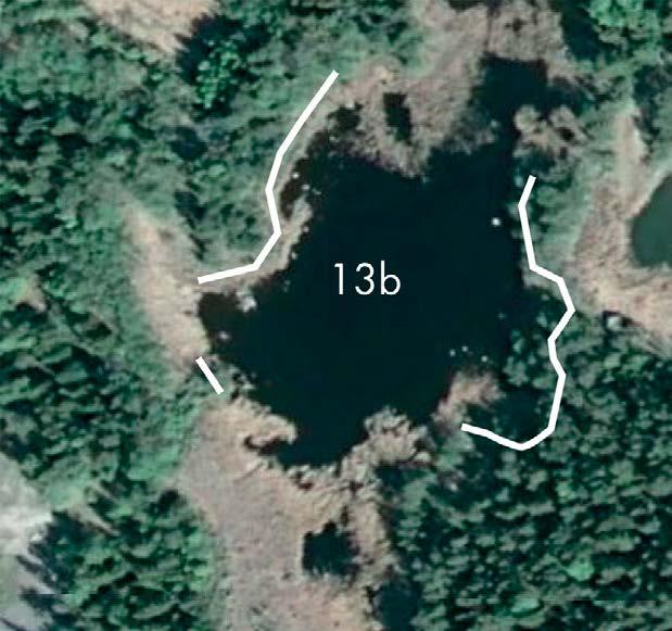 Göl 13b mindre sjö öster om barackbyn I gölen gjordes inga observationer av varken större eller mindre vattensalamander. Under inventeringen av gölgroda 2015-06-12 observerades flera gäddor i gölen.