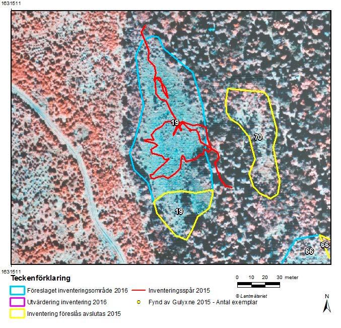 Våtmark 19. Ingen gulyxne hittades 2015. Röd linje visar vägval som inventeraren gjort vid genomsökningen av våtmarken.