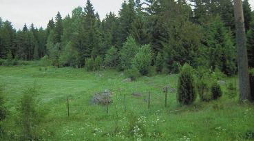 Främjande av naturens och landskapets mångfald, 5- eller 10 åriga avtal Syfte Syftet med denna specialstödsform är att dra försorg om naturens mångfald i lantbruksmiljön, att bevara livsmiljöerna för
