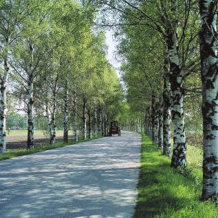 Om man håller omgivningen öppen runt flyttblock, jättegrytor och fornstränder som finns i jordbrukslandskapet blir landskapet mera mångsidigt.