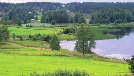 Den åkerareal som ansökan om avtal gäller ska vara stödberättigande inom miljöstödet. Avtalet kan också gälla annat än åkerareal.