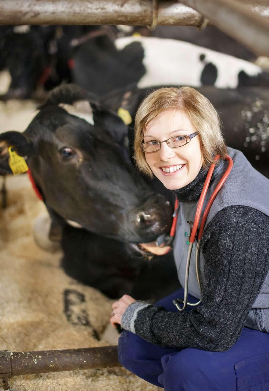 Annonsbilaga Annonsbilaga Selen från åkern på naturlig väg Veterinär Sanni Värränkivi vet hur viktigt det är att nötkreatur får mineral- och spårämnen.