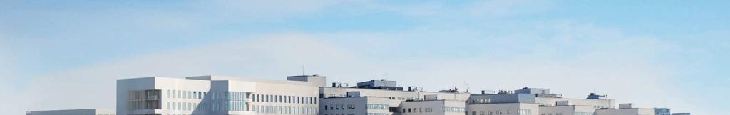Viktigt i detta arbete har varit att bearbeta gavlarna.