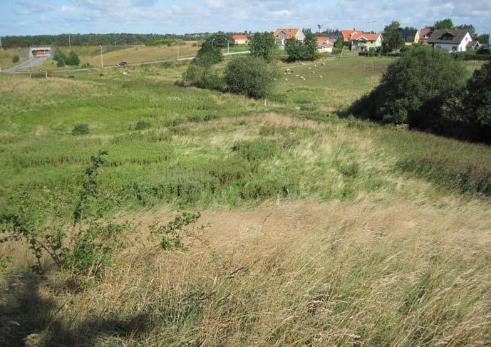 Miljö och Hälsa ansvarig nämnd: miljönämnden Verksamhetsområden Miljö- och hälsoskydd, myndighetsutövning Miljö- och hälsoskydd, hållbar utveckling verksamhetsberättelser Framtiden Natur- och