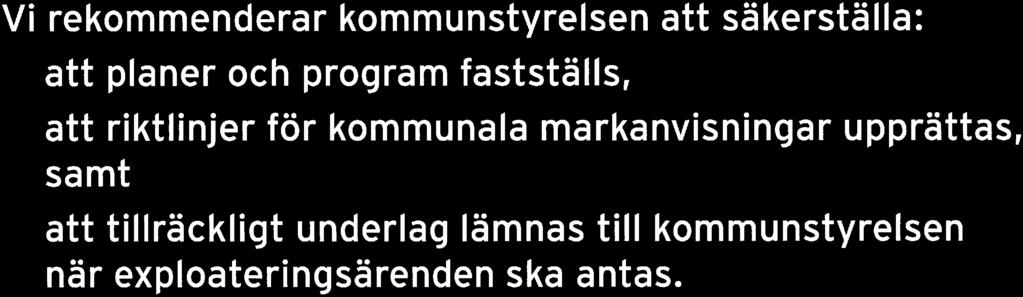 Vi rekommenderar kommunstyrelsen att säkerställa: att planer och program fastställs, att riktlinjer för kommunala