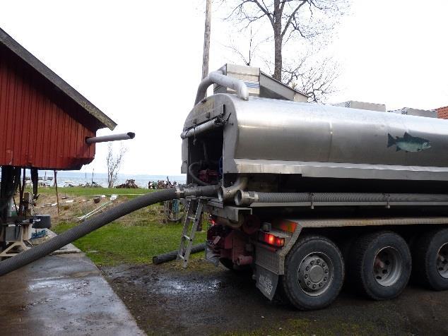 MEDVERKA TILL KUNSKAPSÖKNING AV RÖDING, LAX OCH SIGNALKRÄFTA Fortfarande gäller miljömålet i vattenvårdsplanen att isättningar av lax i Vättern ska föregås av en miljökonsekvensbedömning rörande dess