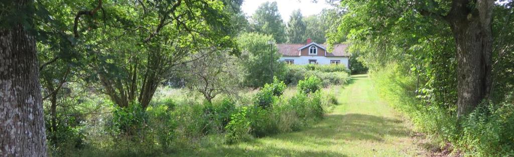 En av två gårdar i norra Törsbo,