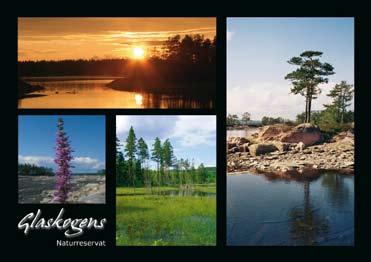 Glaskogen Art.Nr. 02-003 Glaskogens Naturreservat Art.Nr. 02-004 Glaskogen - Kvällssol OBS!