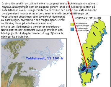 Borealt landskap