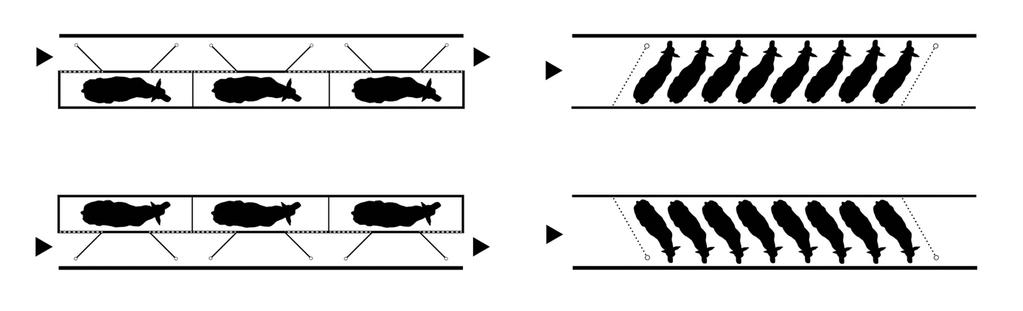 Mjölkgropsdesign Mjölkgropar kan designas på flera olika sätt. Exempel på två vanliga utformningar är tandemoch fiskbensdesign (Figur 1).