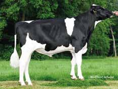 88 t t grzg 148 grzm grze grzs grzn 136 grzr Hälsa RZFit 146 493 kg -0,05 % 14 kg 0,20 % 37 kg Kalvn far Kalvn mf Mjölkbarhet Lynne aaa Mjölkkatär Patron P Bröstd Korsd djup