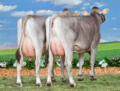 Brownswiss Hacker Stmb nr 567 Kod nr 7-14 Hardrock Stmb nr 247 Kod nr 7-1464 F: Huray M: Konni VG-88 F: Huray M: Ko EX- MF: Hucos MM: Konni MF: Denmark MM: Krone MMF: Simerl MMM: Korina MMF: Patrick