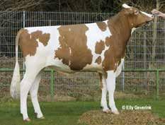Fageno Stmb nr 91456 Kod nr 9-7374 F: Fidji M: TH Malta VG-86 Flacon Stmb nr 91845 Kod nr 9-7480 F: Fanatic M: Penni MF: Ruacana MM: TH Heidi VG-86 MF: Altaiota MM: Melissa MMF: Ludox MMM: TH Dollina