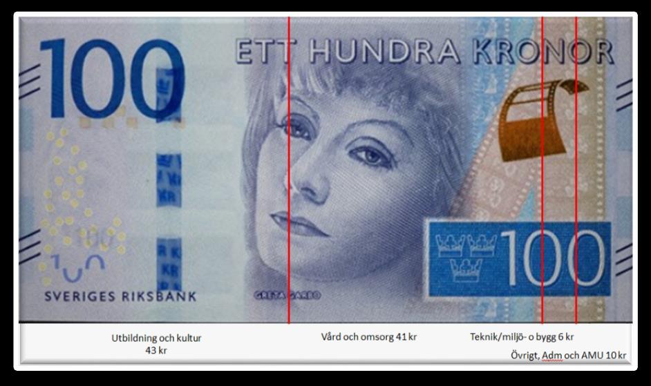 Hur används pengarna Kommunen har en budgetram för sina verksamheter på ca 510 mkr.