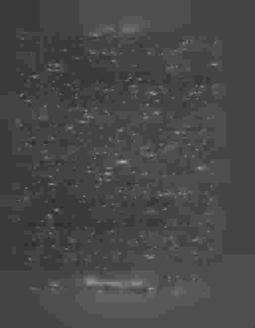 25 från jordbruket,'^om^de^ersätfnhi^^v^k^ nr kr0nob'efbäringens skiljande af kronobrefbärino-en hittills em si^ b * ^ * ftvis bora iläggas dem, som «>«'*«.