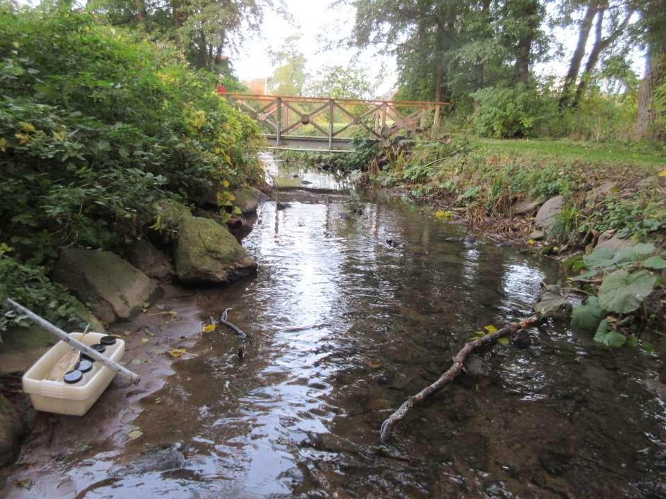 Lussebäcken