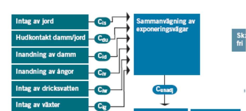 RISKBEDÖMNING