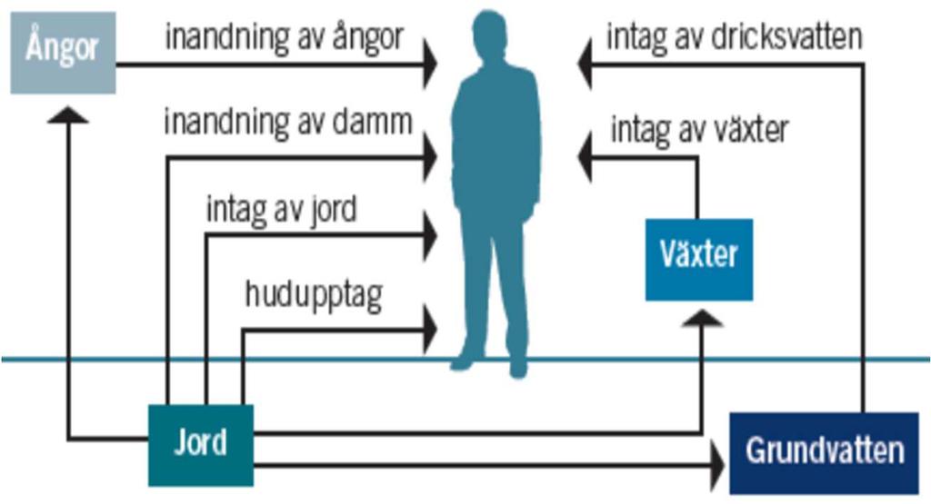 RISKBEDÖMNING