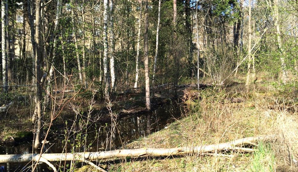 Sida 10 (49) I norr ligger en anlagd damm, som till stor del har svämmat över en sumplövskog med många döda eller döende träd.