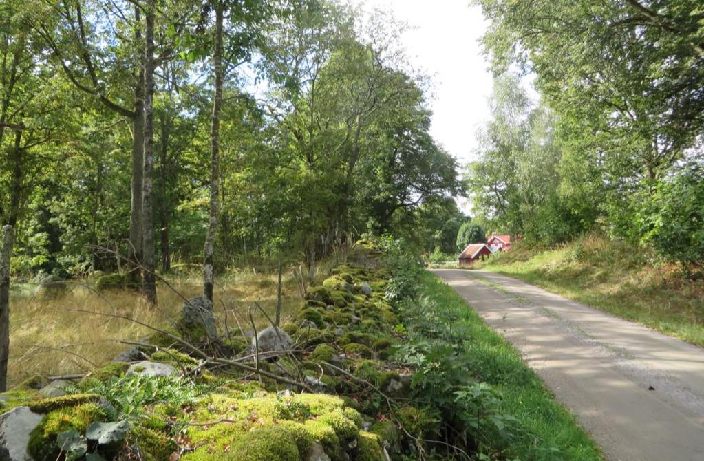 Slingrande grusväg kantad med stenmurar och