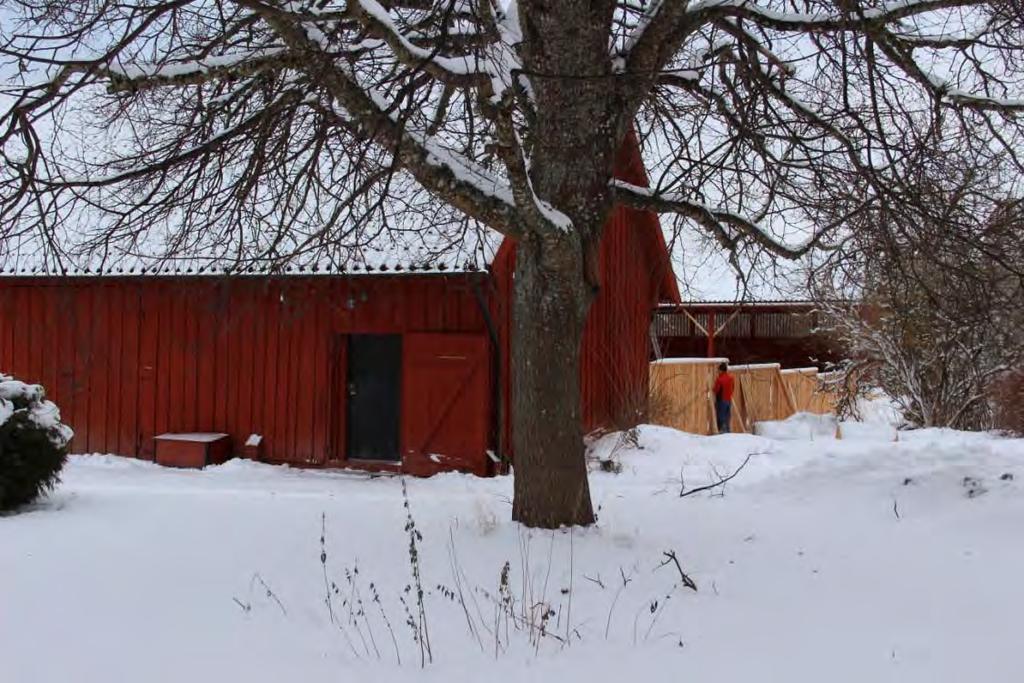 den plankomgärdade ekonomigården i