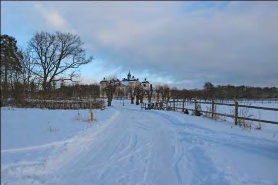 Ekonomigården sedd från slottsparken