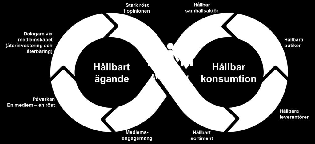 Coops kooperativa modell Den andra bilden illustrerar vår gemensamma organisation och ägarstruktur.