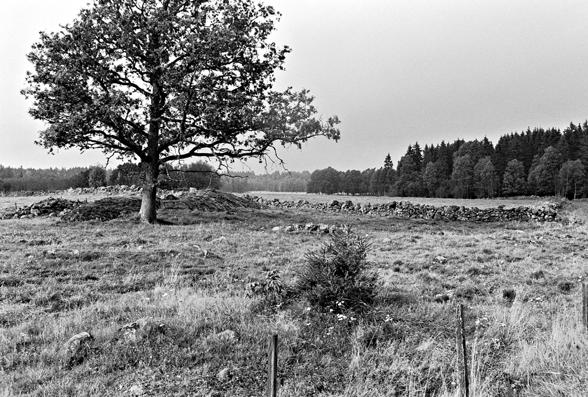 3 Törnestorp Stenmurar och platsen för en stenåldersboplats i Dragaryd, norr om Törnestorp En bit nordost om Dannäs ligger Törnestorp.