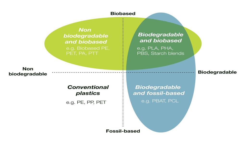 Kort om bioplast Bioplaster: Plaster gjorda av biobaserad råvara, bionedbrytbara plaster, eller plaster som är både och Biobaserad råvara kommer från biomassa, dvs från