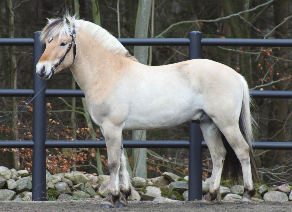 Lyckängs Regina 3282 mf.
